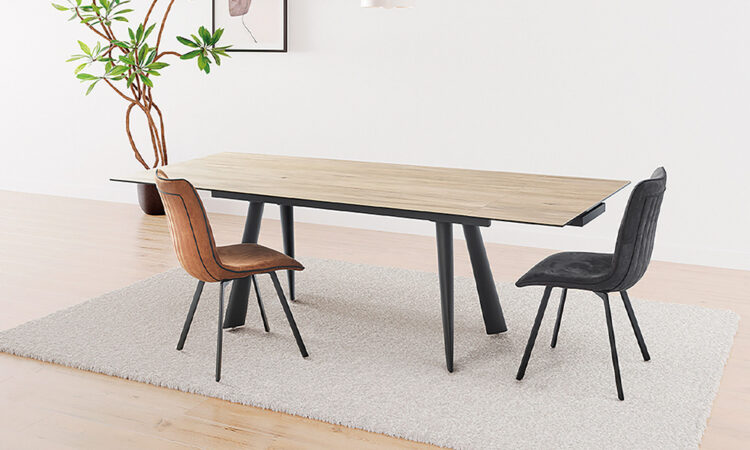 Table de repas